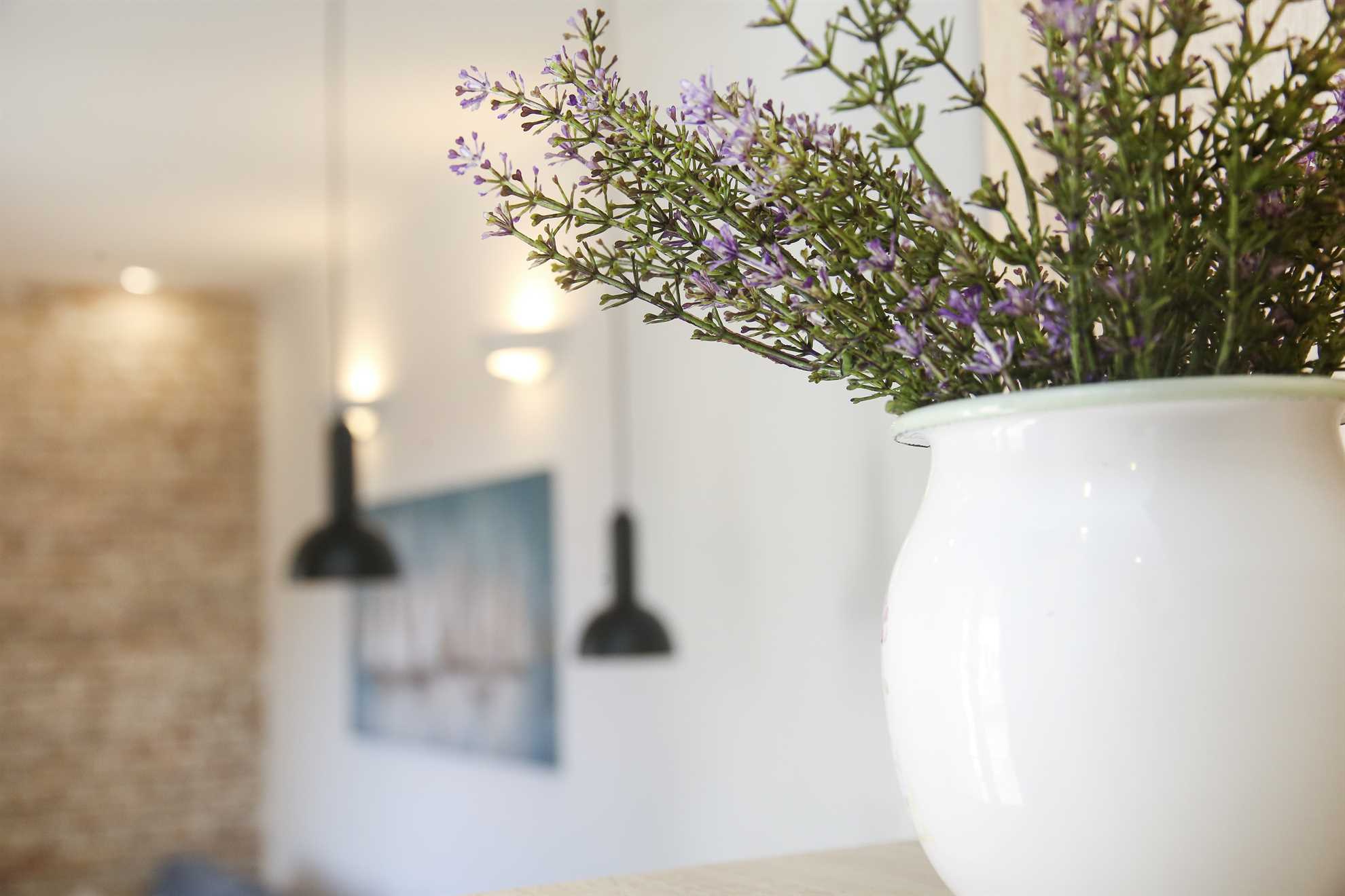 Elegantno stanovanje v starem mestnem jedru Monfrina