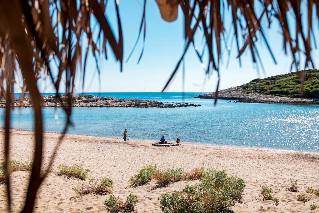 Pinetree Boutique Hidden Gem In Mljet Island Aka Paradise Dominum Travel Agency