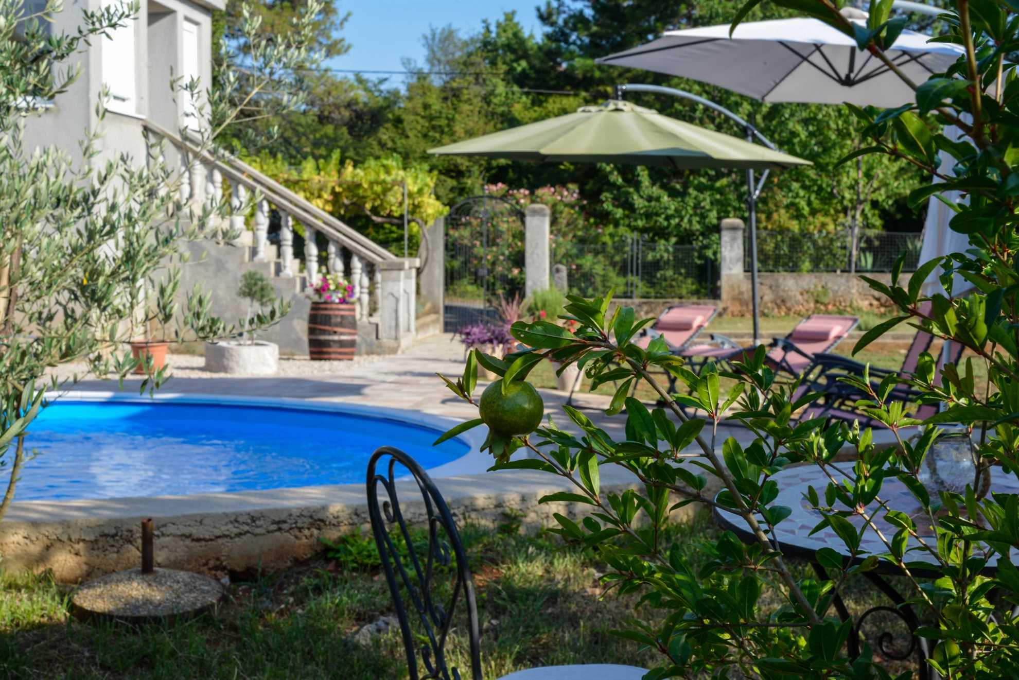 Apartment Villa Oliva with private swimming pool
