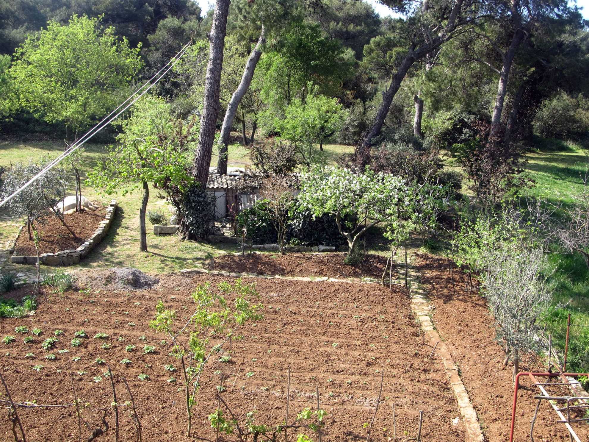 Lepo stanovanje v Pulju, za 2-4 osebe, peš stran od mestnega jedra