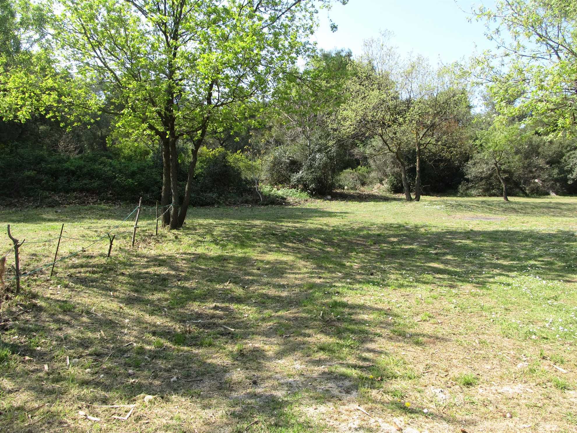 Lepo stanovanje v Pulju, za 2-4 osebe, peš stran od mestnega jedra