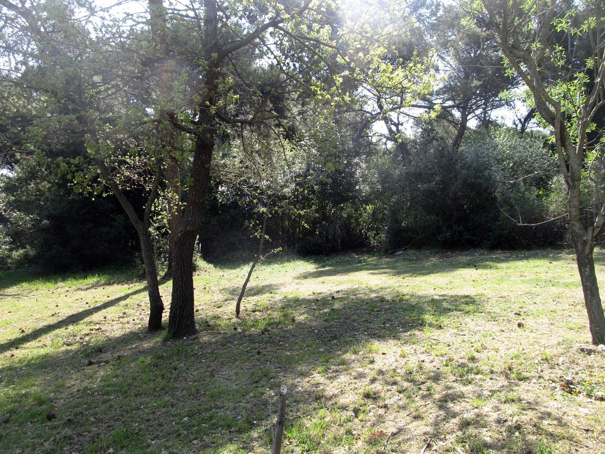 Lepo stanovanje v Pulju, za 2-4 osebe, peš stran od mestnega jedra